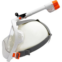     Bradex,   ,  S