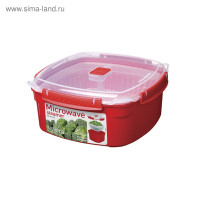  Sistema Microwave, 3.2 