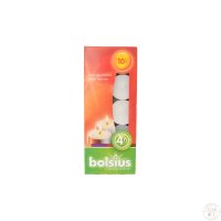 C  Bolsius (10 )