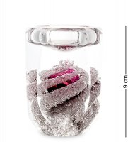 Gr-63/ 5 �����-�����