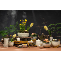  Liberty Jones Birds Of Paradise, 340 ,  