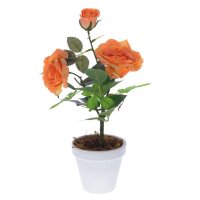 ��������� ���������� ����, L10 W10 H34 ��