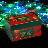   10 , Ip44,  , 100 Led,  , 8 , 220 