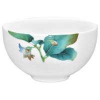   Noritake    13