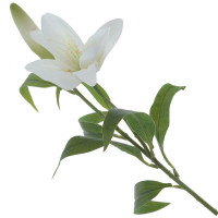 ������ ������������� �����, L26 W12 H84 ��