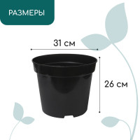   , 15 , D=34 , H=22 , , Greengo
