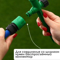 -, 33 ,  , , , , Greengo