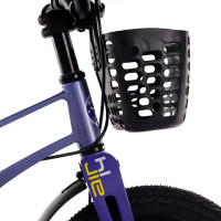  14 Maxiscoo Air Pro,   