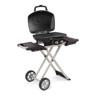   Napoleon Travelq Pro - 285x