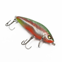 ������ Akara Goby 65f, ���� A208, 5 ��, 8 �