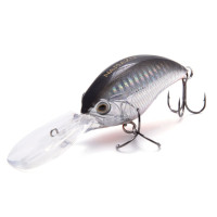 Namazu Hippocampus L-60 , 18 , , , 2.5 - 4.5 ,  5