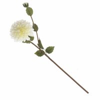 ������������� ������ ��������, 66�11��, 6�