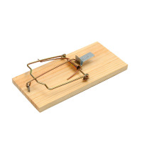 , 17 X 8 , , Greengo