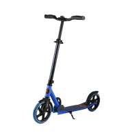  Maxiscoo L-205 2021,  