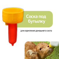   ,    , , Greengo
