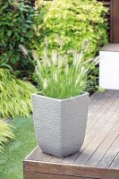  Keter  Xl ,  