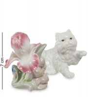 Cms-04/ 5  -    (pavone)