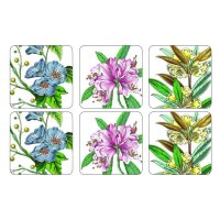    Pimpernel   1010,  6 , /
