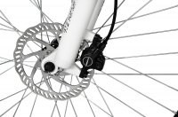  Smart Electric 2 Fork