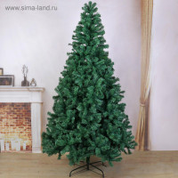    .  , 300 , D   145 , 2800    