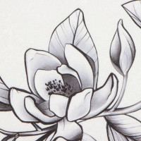     Magnolia 5080 , 100% /, 