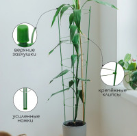 , D=3230282624 , H=150 , 5 , , , Greengo