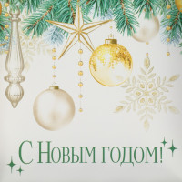 ������� ��� ������������ ������� � ����������� ������� �� ����� �����!�, 13 � 13 � 3 ��