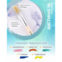   ,   16 (  16 ;   24 ),  , Calligrata