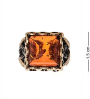 Am-2513 ������ ������ (������, ������)