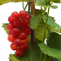   , L25 W20 H113 