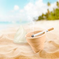      Gelato
