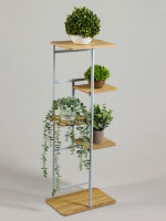    Greengo, 5 , 36 23 94 , ,  ,  , 