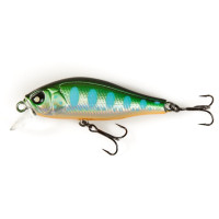  . Lj Pro Series Anira Sp, 4.9 ,  104