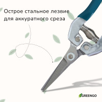 ������� �������, 7 (18 ��), � �������������� �������, ������������ �����, ������ Greengo