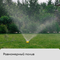 �����������-�����������, ������ ��� �����, ����, �������, �������, Greengo