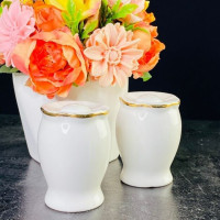   Lenardi Magnolia Gold