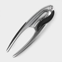   Veil,  