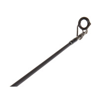 ������� �������� Salmo Diamond Carp, ���� 1-120 �., ����� 3,9 �.