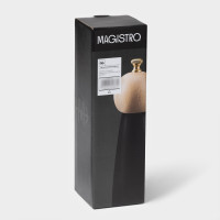    Magistro Ollander, 22 ,  