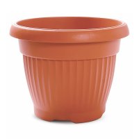    Prosperplast Terra 0,5, 
