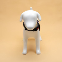  7  ,  S,  44-55 ,  5-9 , 