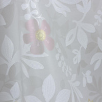  Dasch Lola, 137 , Mw-015a, 