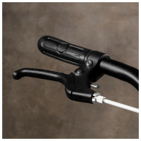 ������ Dream Bike, 98 ��, ���� ������