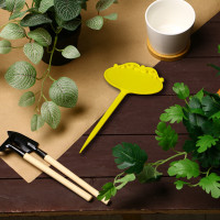    , , 15 ,  10 ., , , Greengo