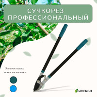 , , 31 (79 ), , Greengo