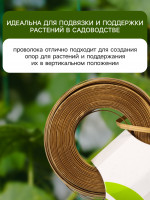    , 50 , ,  , Greengo