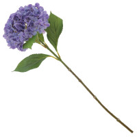 ������ ������������� ���������, L26 W17 H67 ��