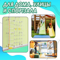 , 1005010 ,  /