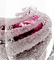 Gr-63/ 5 �����-�����