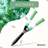 , 19 (48 ),   , Greengo